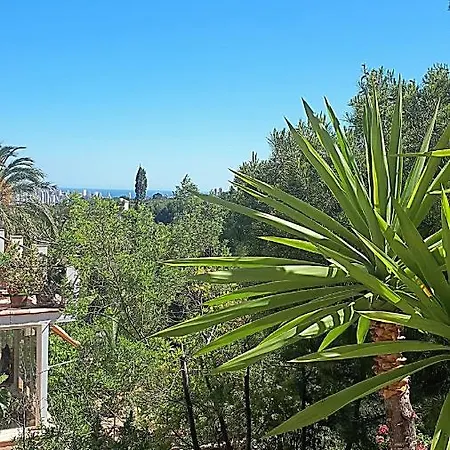 Casa Corazon Tatil Evi *